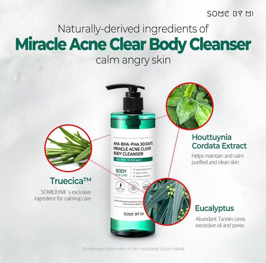 Somebymi AHA.BHA.PHA 30 Days Miracle Acne Clear Body Cleanser 400g