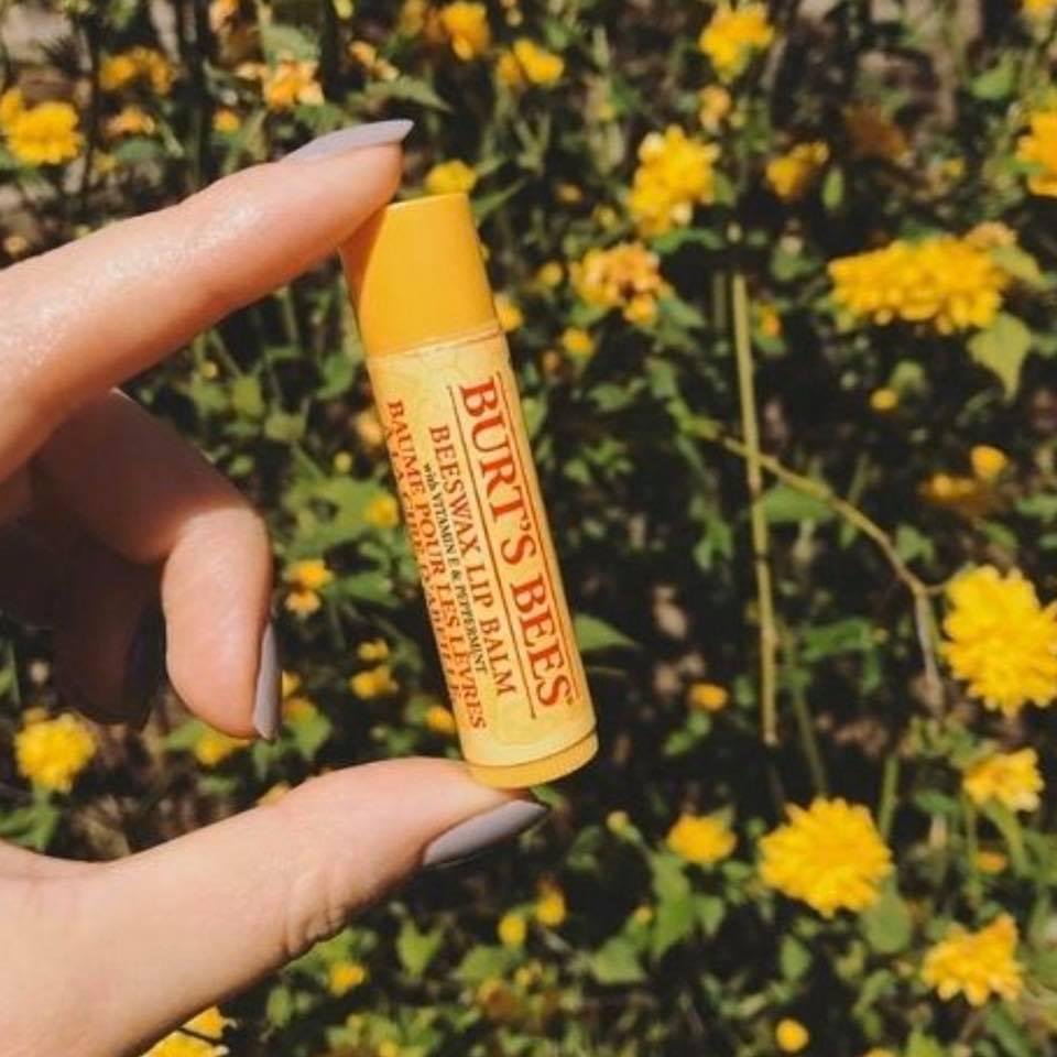 Burt’s Bees Lip Balm. بورتس بيي مرهم الشفة - Princess Cosmetics Qatar