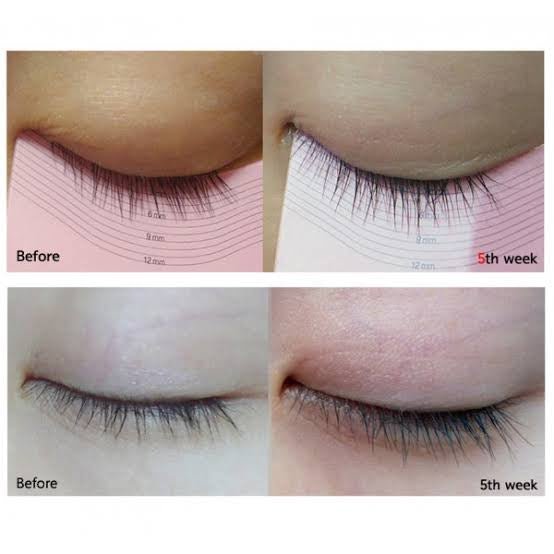 Etude House Lash Serum 9g. سيروم الرموش من إيتود هاوس 9 جرام - Princess Cosmetics Qatar