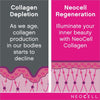 Neocell Collagen Powder 198g. نيوسيل مسحوق الكولاجين 198 جرام - Princess Cosmetics Qatar